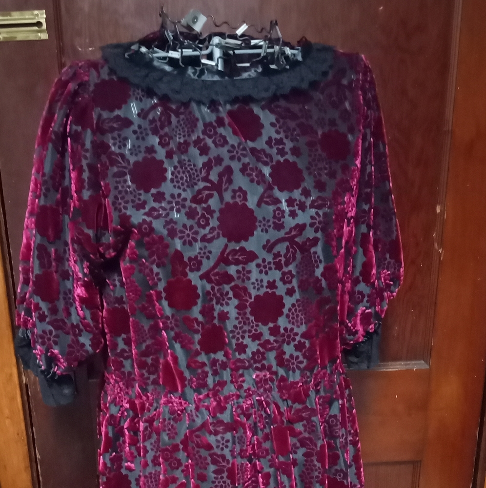 Stunning Handmade floral velvet sheer mesh dress with black lace collar cuffs